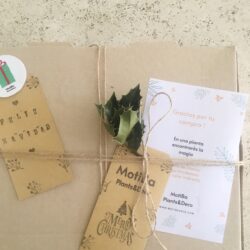 Cajas KIT / Regalos